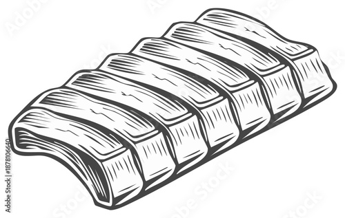 Illustration of ribs raw in vintage engraved style for butcher shop design