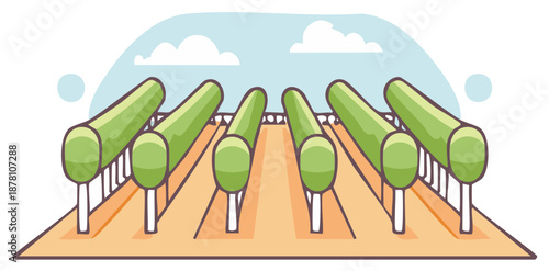 Simple cartoon illustration of a vineyard field with rows of green grapevines on trellises
