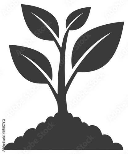 Sprout growing from soil with green leaves developing