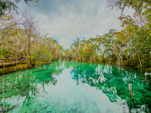 Crystal Clear Natural Spring with Forest Reflections