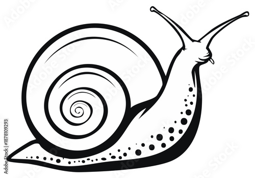 Stylized black and white snail with spiral shell and textured body crawling slowly