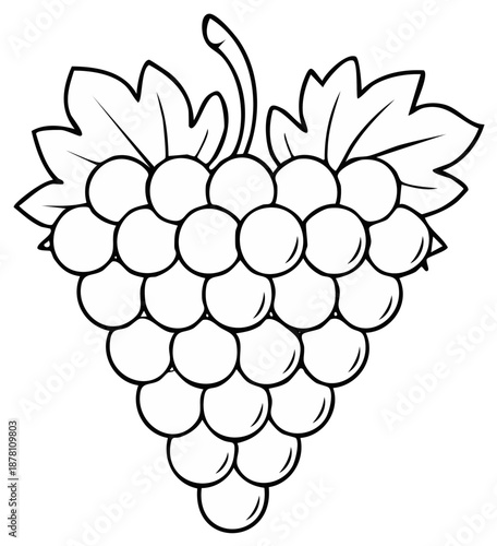 Black and white illustration of a grape cluster with leaves, fruit icon.