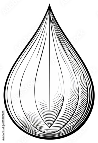 Abstract layered onion or teardrop illustration with detailed engraving style lines