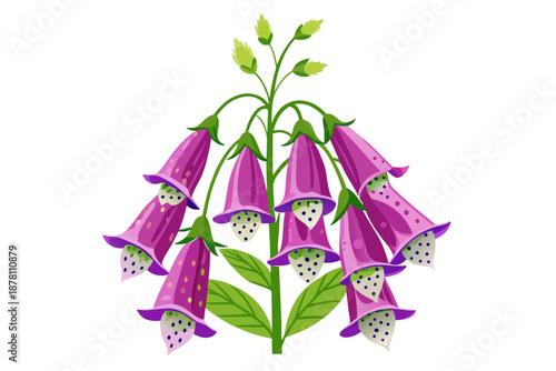 Stylized Foxglove Cluster with Speckled Bell Shaped Blooms