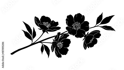 Black silhouetted flowers with leaves on a white background.