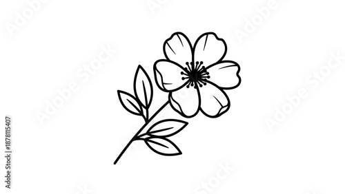 Simple black and white line drawing of a flower with leaves.