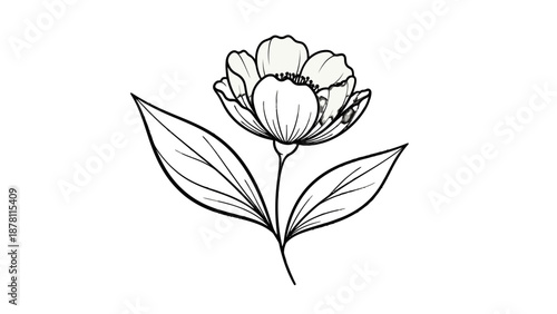 Simple black and white line drawing of a flower with leaves.