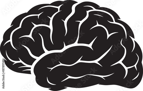 Human Brain Concept Illustration for Science and Education