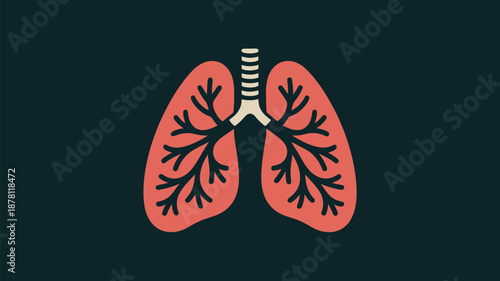 Human lungs illustration Vector