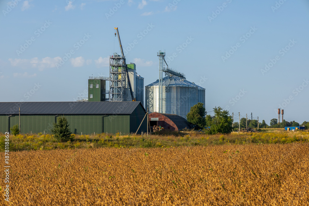 Fototapeta premium Silos and a granary stand in a field of grain under a clear sky. Storage facilities support local farming and grain production activities