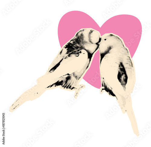 Romantic love and Valentines day collage element. Two budgie parrots birds kissing against pink heart. Modern retro vector illustration for mixed media design isolated on transparent background
