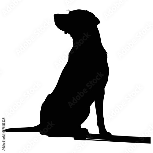 dog, animal, pet, black, puppy, cat, white, silhouette, mammal, cute, canine, illustration, labrador, art, pets, animals, breed, vector, retriever, friend
