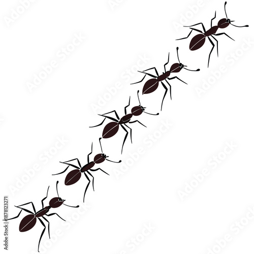 a line of ants marching in a diagonal line on a white background high quality professional