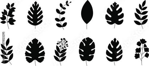 Black botanical leaf silhouette icon set featuring tropical and decorative plant foliage in clean minimalist flat design style