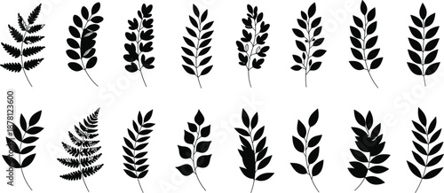 Black botanical branch and leaf silhouette icon set featuring fern and foliage elements in clean minimalist flat design style for modern graphics