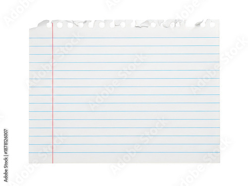 A piece of lined notebook paper with torn bottom and top edges isolated on transparent background