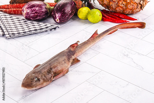 Raw indian catshark for cooking