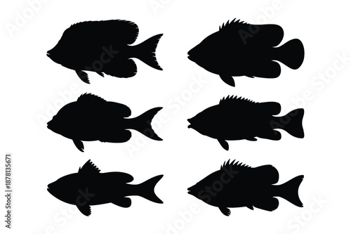 Collection of various tropical fish silhouettes