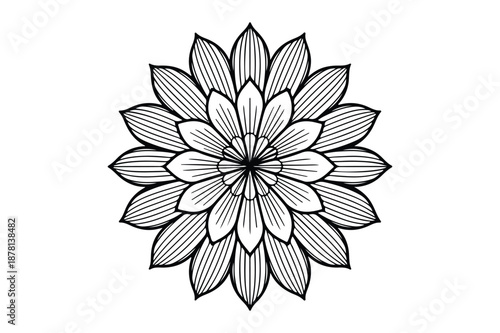 Symmetrical Floral Mandala Pattern Minimalist Line Art Design