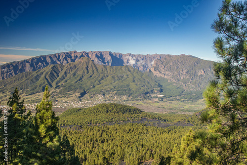 Lush Pine Forest and Volcanic Crater Panorama in La Palma. Breathtaking view of the Caldera de Taburiente national park. Vibrant green pine trees in the foreground with majestic volcanic mountains.