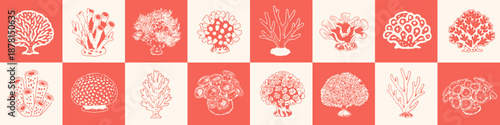 Large set of hand drawn coral illustrations. Isolated coral elements for prints, posters, packaging, branding, decor and educational projects.