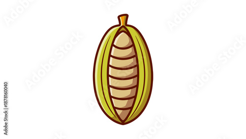 A clear illustration of an opened cardamom pod, revealing seeds inside, representing spices, cooking, and ingredients.