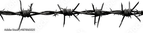 Barbed Wire Fence with Sharp Spikes Isolated