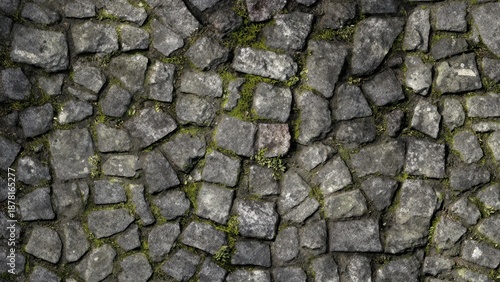 Cobblestone pavement with moss detail