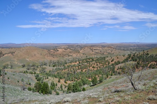 Outback view in Flinders Ranges, South Australia