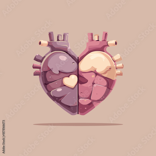 Anatomical heart split into two colors in modern pastel vector illustration representing emotions balance and duality
