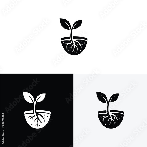 Plant and sprout  logo  design Icon illustration