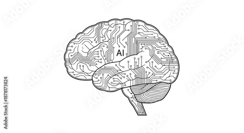 Detailed illustration of a human brain with labeled sections in black and white
