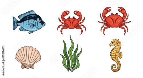 Colorful sea creatures and plants