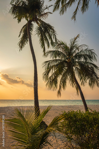Beach sunset