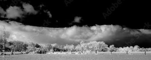 Fotografie Passing snow squall over a ice and snow covered farmers field in Black and White
