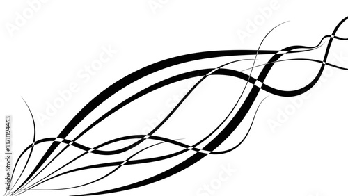 Black and white abstract leaf design