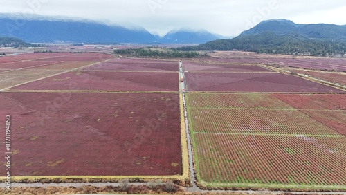 British Columbia Fields