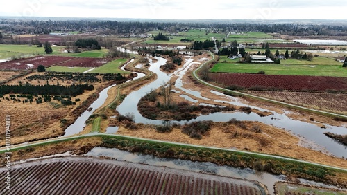 British Columbia Fields