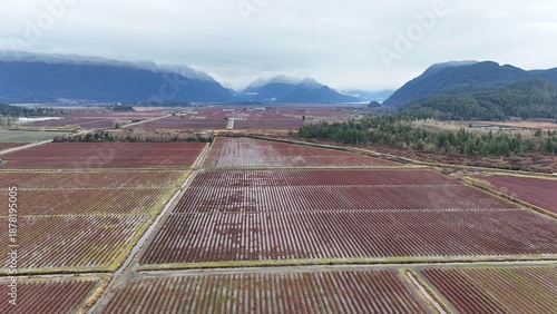 British Columbia Fields