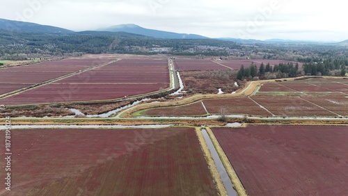 British Columbia Fields