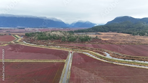 British Columbia Fields