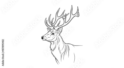 A line drawing of a deer with large antlers