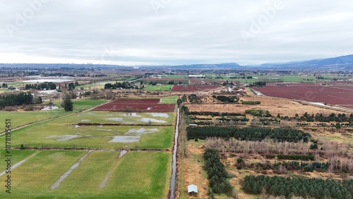British Columbia Fields