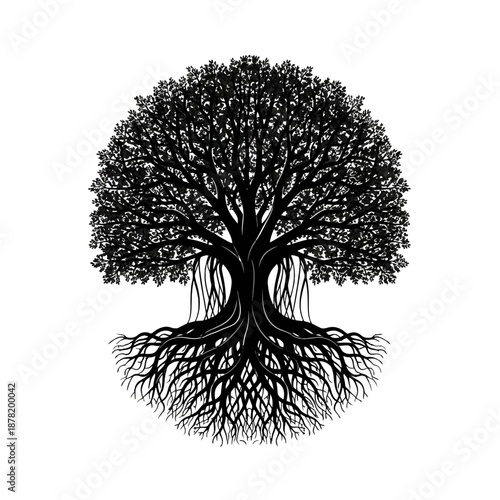 Black silhouette of a tree with sprawling roots and branches.