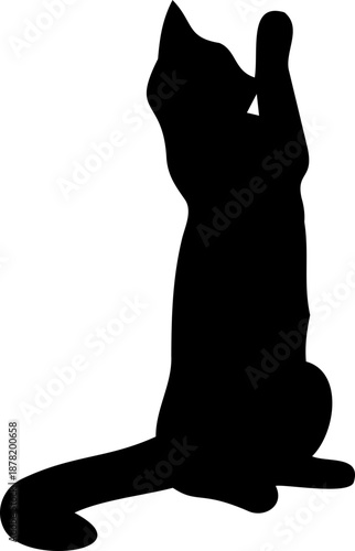 Cat silhouette illustrated standing while lifting a front paw upward.