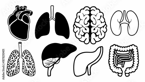 Human Internal Organs Medical Icon Set Illustration