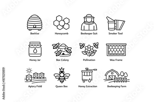 Beekeeping equipment and concepts: beehive, honeycomb, beekeeper, smoker tool, honey extraction