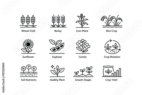 Agricultural icons set: wheat, corn, rice, sunflower, soybean, canola, crop management