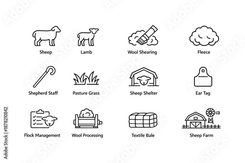 Sheep farming icons: wool shearing, lamb, pasture, management