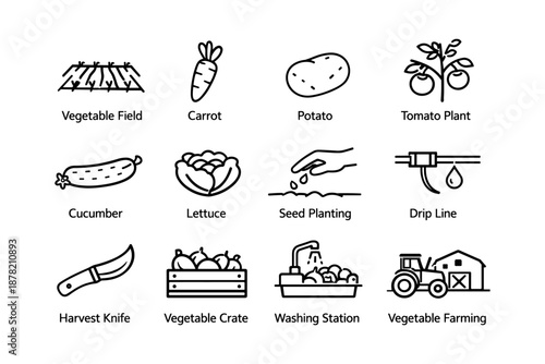 Agriculture icons set: vegetables, plants, tools, and farming methods